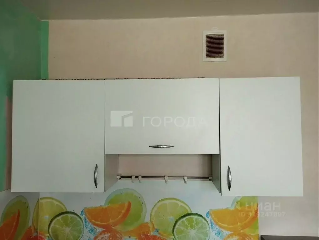 1-к кв. Новосибирская область, Новосибирск ул. Фадеева, 66/8 (24.0 м) - Фото 1