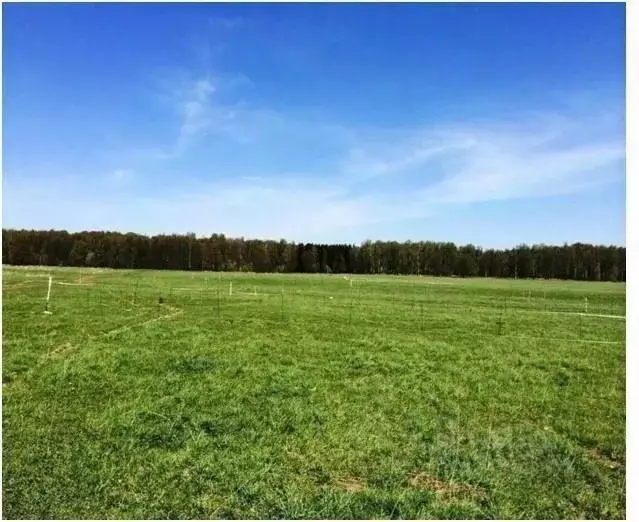 Участок в Кировская область, Слободской муниципальный район, Ленинское ... - Фото 1