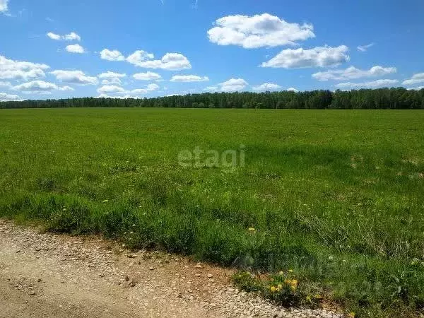 Участок в Калужская область, Бабынинский муниципальный округ, ... - Фото 2
