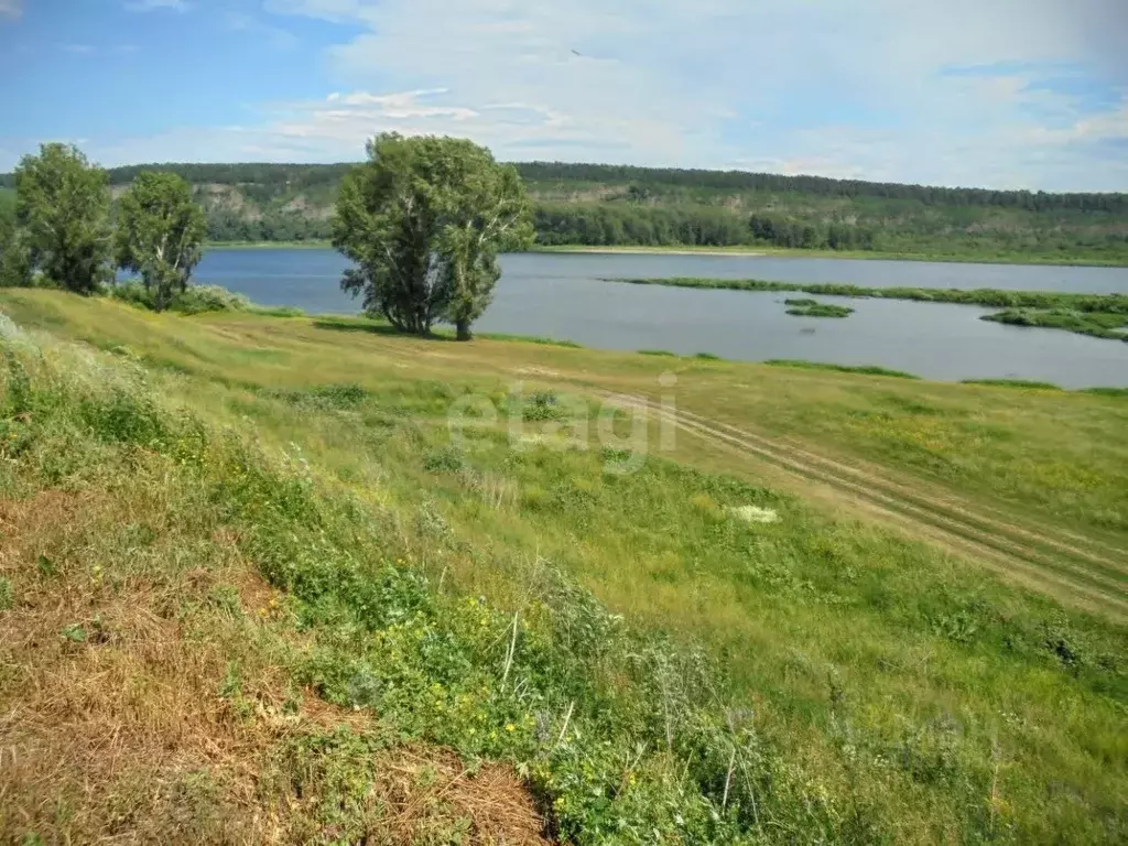 Участок в Кемеровская область, Кемеровский муниципальный округ, д. ... - Фото 1