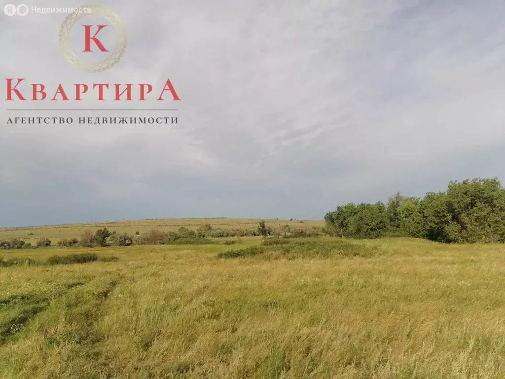 Участок в Сакмарский район, Татаро-Каргалинский сельсовет (1008 м) - Фото 1