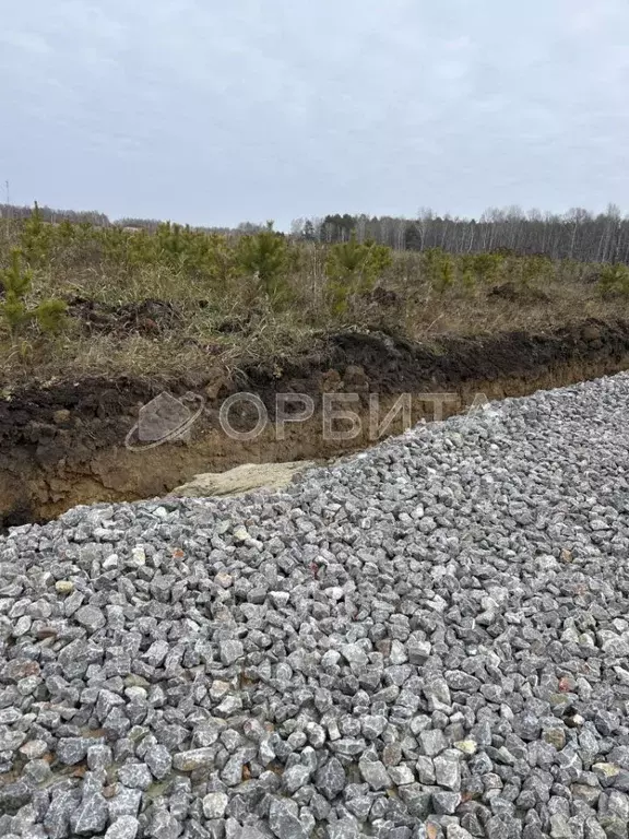Участок в Тюменская область, Тюменский муниципальный округ, д. Ушакова ... - Фото 2