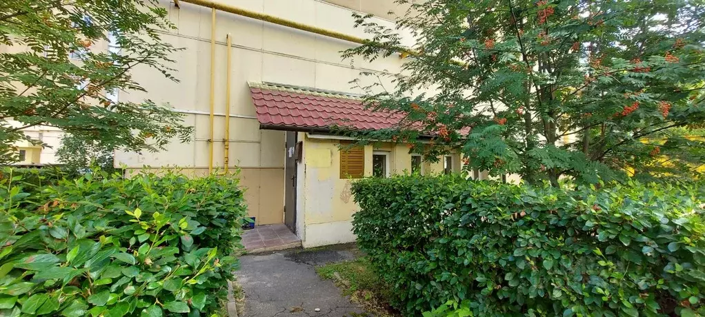 Офис в Тверская область, Тверь ул. Виноградова, 8 (43 м) - Фото 1