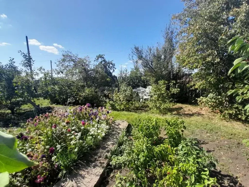 Дом в Оренбургская область, Саракташский район, Черноотрожский ... - Фото 2