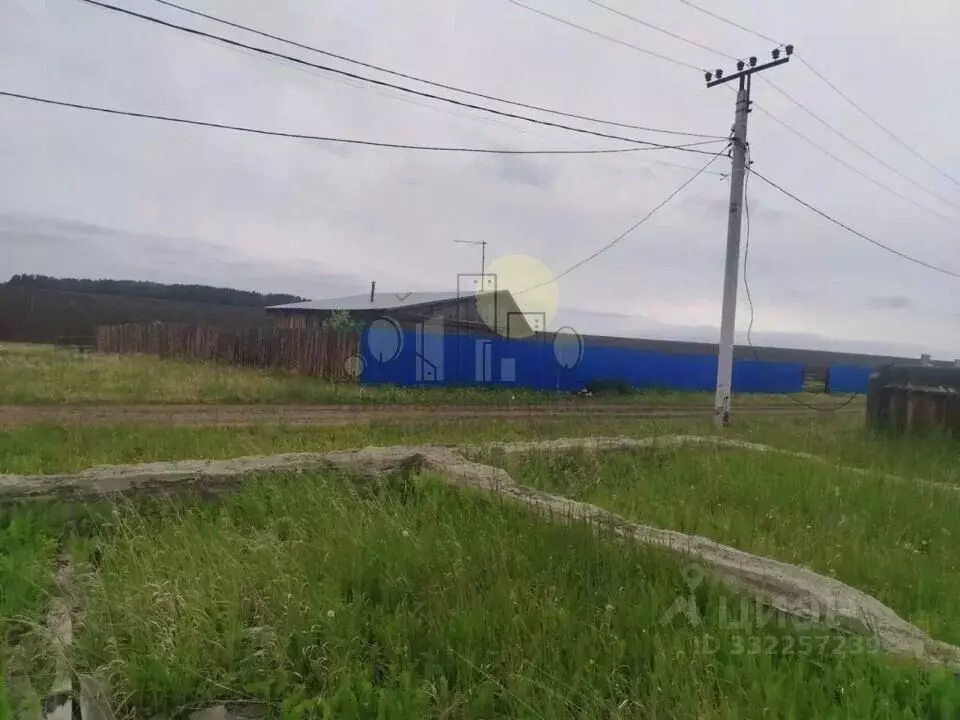 Участок в Иркутская область, Иркутский муниципальный округ, д. ... - Фото 1