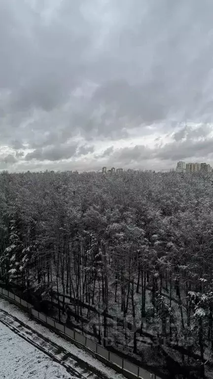 2-к кв. Москва № 2 кв-л, 5с6 (55.0 м) - Фото 2