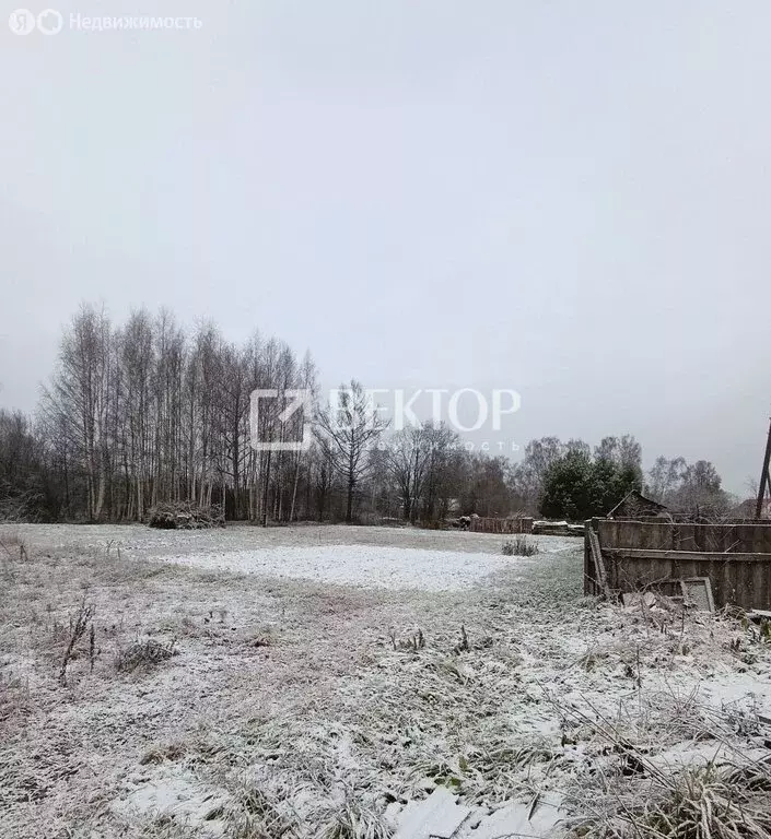 Участок в Костромской район, Чернопенское сельское поселение, село ... - Фото 2