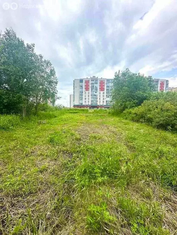 Участок в Великий Новгород, СТ Золотая осень (3.08 м) - Фото 1