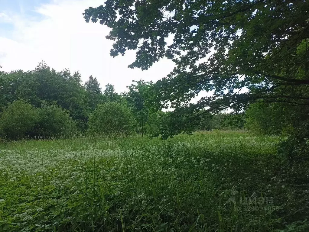 Участок в Ленинградская область, Лужский район, Скребловское с/пос, д. ... - Фото 1