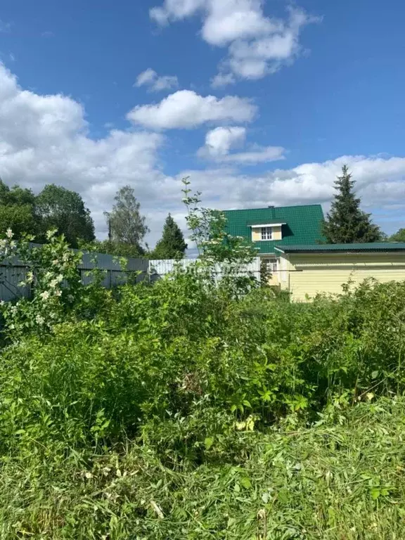 Участок в Владимирская область, Покров городской округ, д. Крюки ул. ... - Фото 2