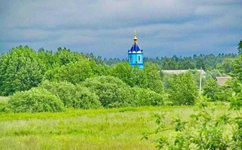 Купить Участок Дивеево Нижегородской