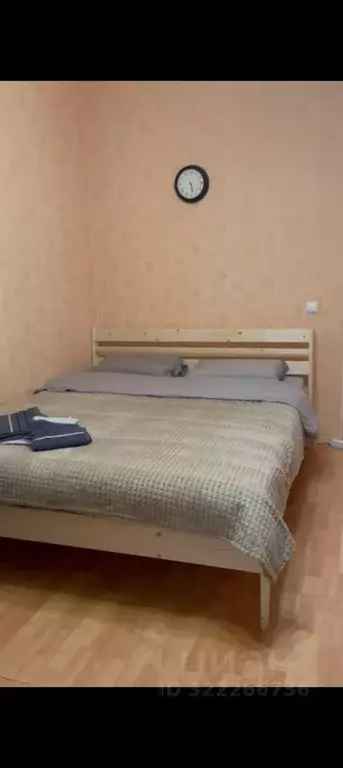Студия Санкт-Петербург просп. Просвещения, 43 (26.0 м) - Фото 0