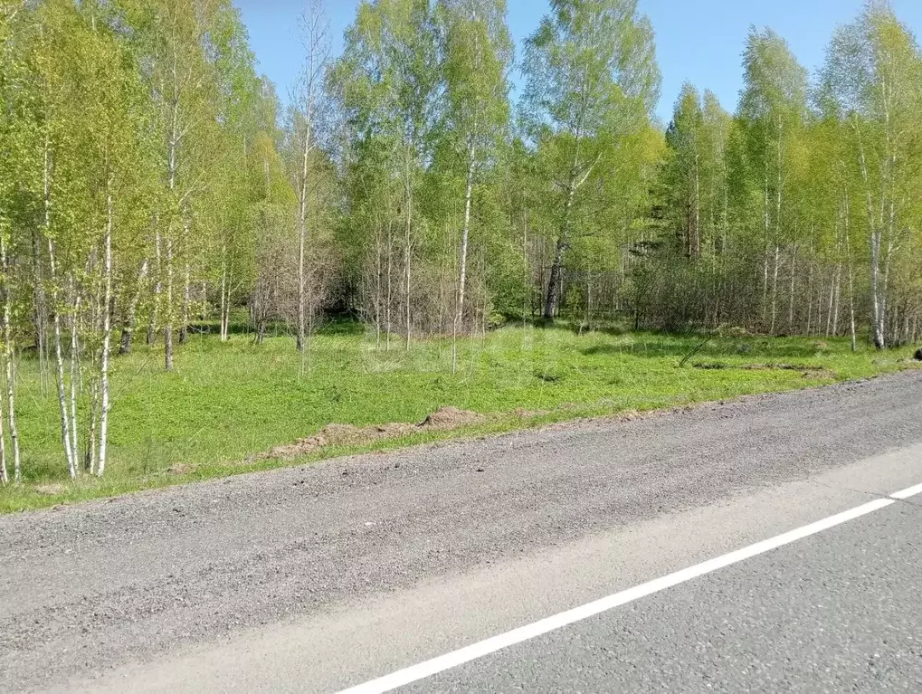 Участок в Томская область, Томский район, д. Чернышевка  (20.0 сот.) - Фото 1