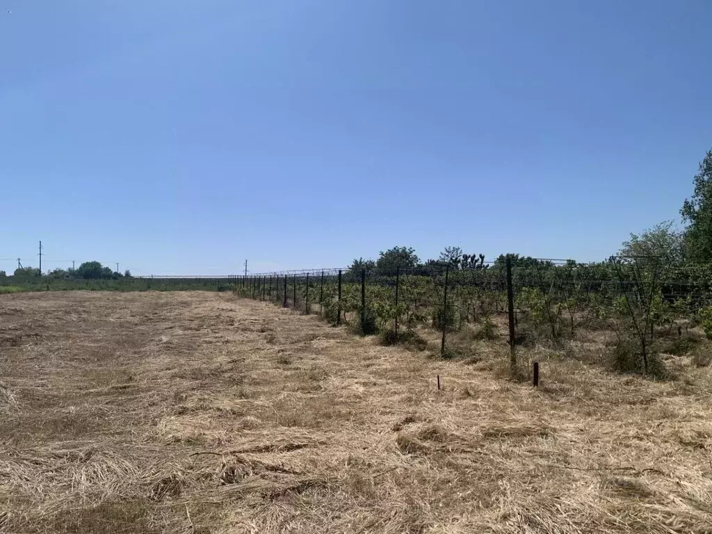 Участок в Краснодарский край, Анапа муниципальный округ, пос. ... - Фото 2