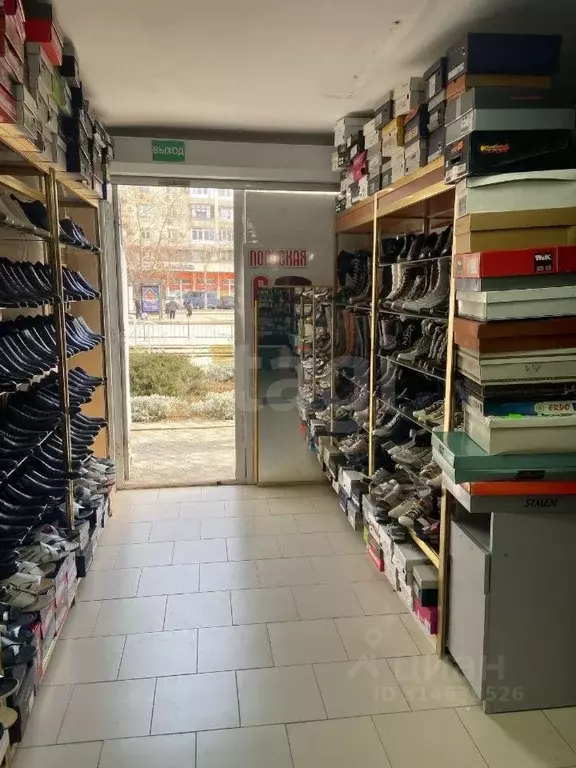 Помещение свободного назначения в Крым, Евпатория просп. Победы, 63А ... - Фото 1