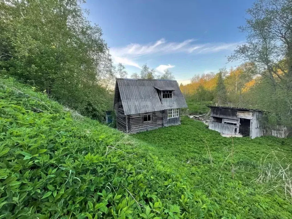 Участок в Ленинградская область, Волховский район, Кисельнинское ... - Фото 1