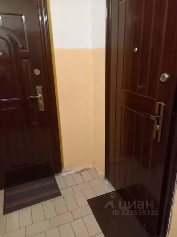 1-к кв. Московская область, Серпухов Новая ул., 25а (33.5 м) - Фото 2