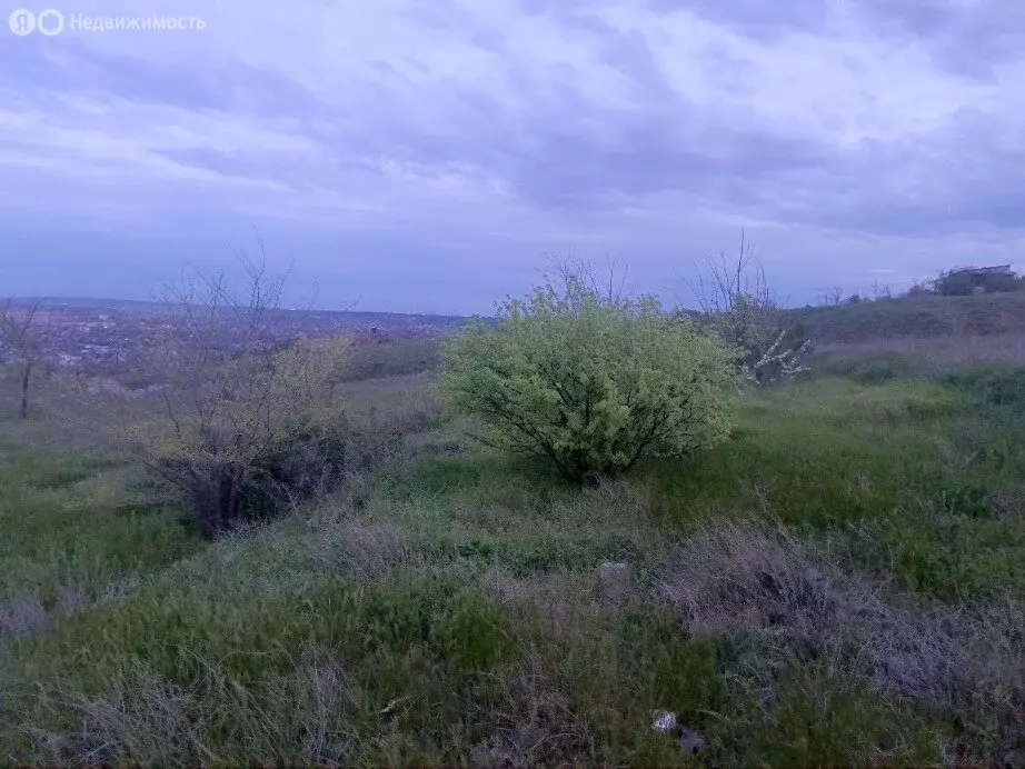Участок в Волгоград, территория посёлок Горный (8.72 м) - Фото 2