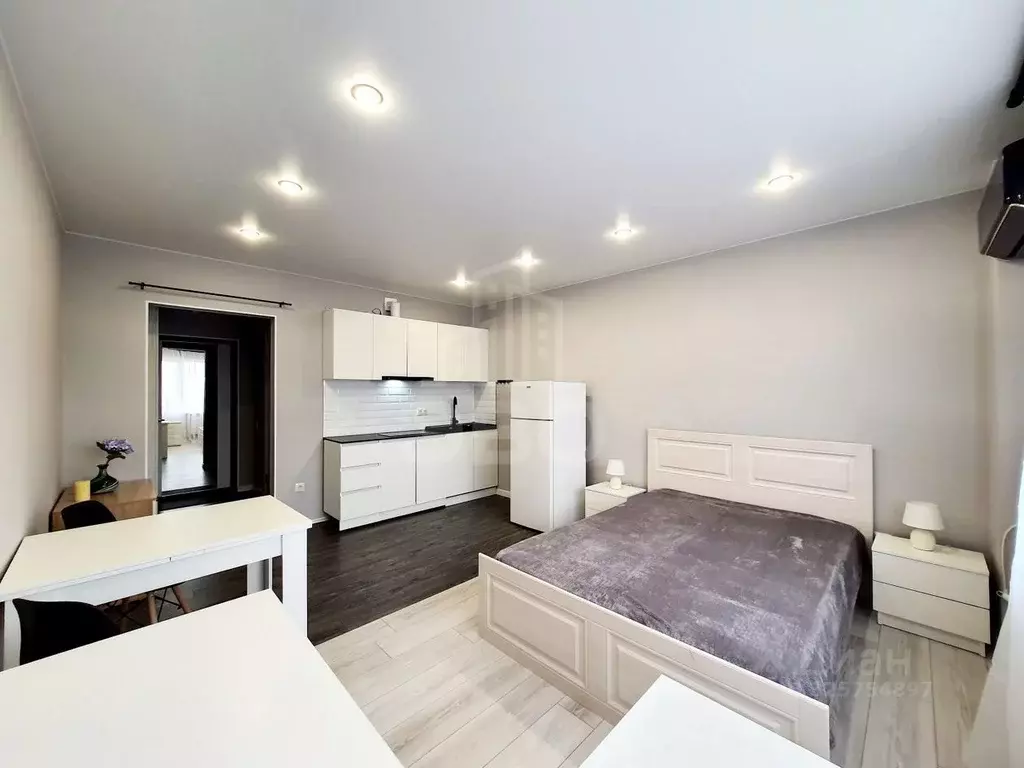 Студия Санкт-Петербург пос. Шушары, просп. Новгородский, 2к1 (24.7 м) - Фото 1