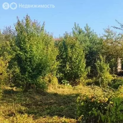 Участок в Светлогорск, СНТ Радуга, 10-я линия, 38 (4.55 м) - Фото 1