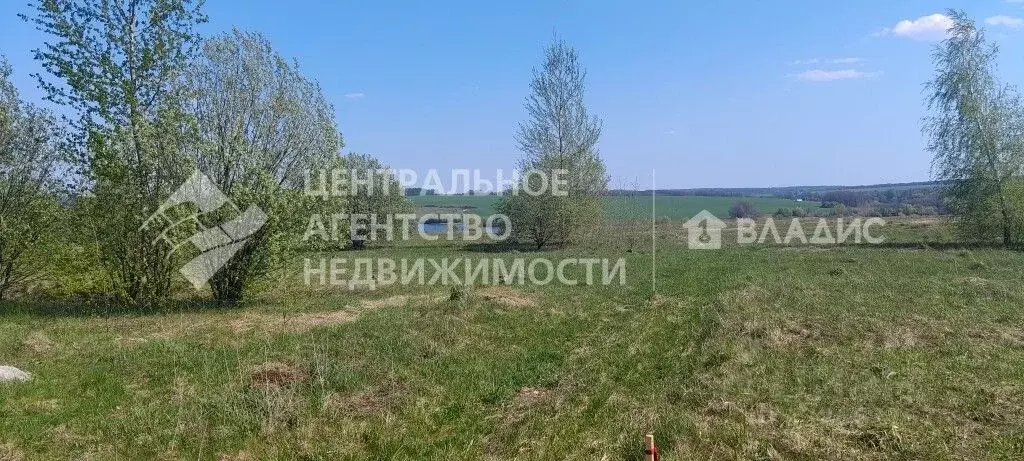 Участок в Рязанская область, Рязанский муниципальный округ, д. Рожок  ... - Фото 1