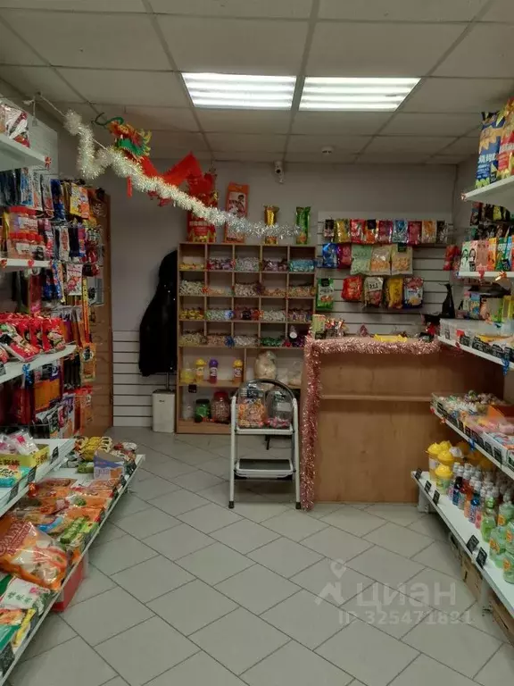 Офис в Хакасия, Черногорск ул. Калинина, 24 (20 м) - Фото 1