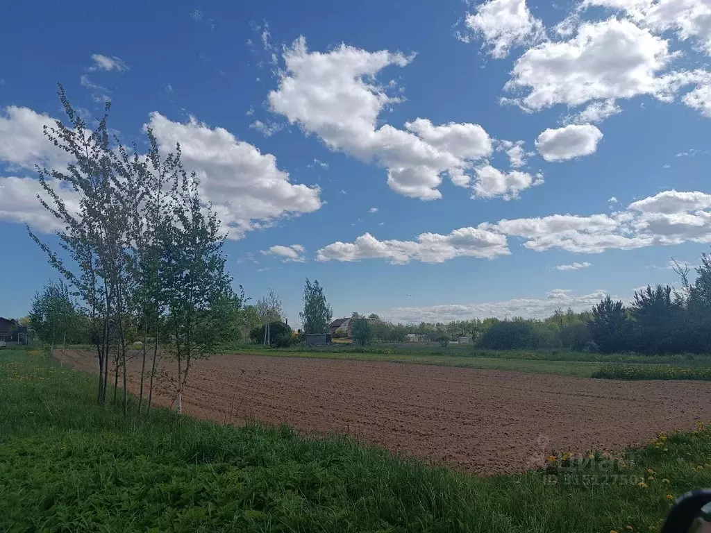 Участок в Новгородская область, Новгородский район, Ракомское с/пос, ... - Фото 0