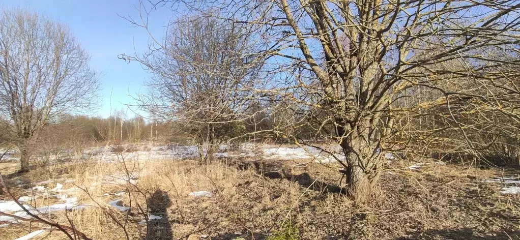 Участок в Московская область, Талдомский городской округ, Запрудня рп  ... - Фото 0