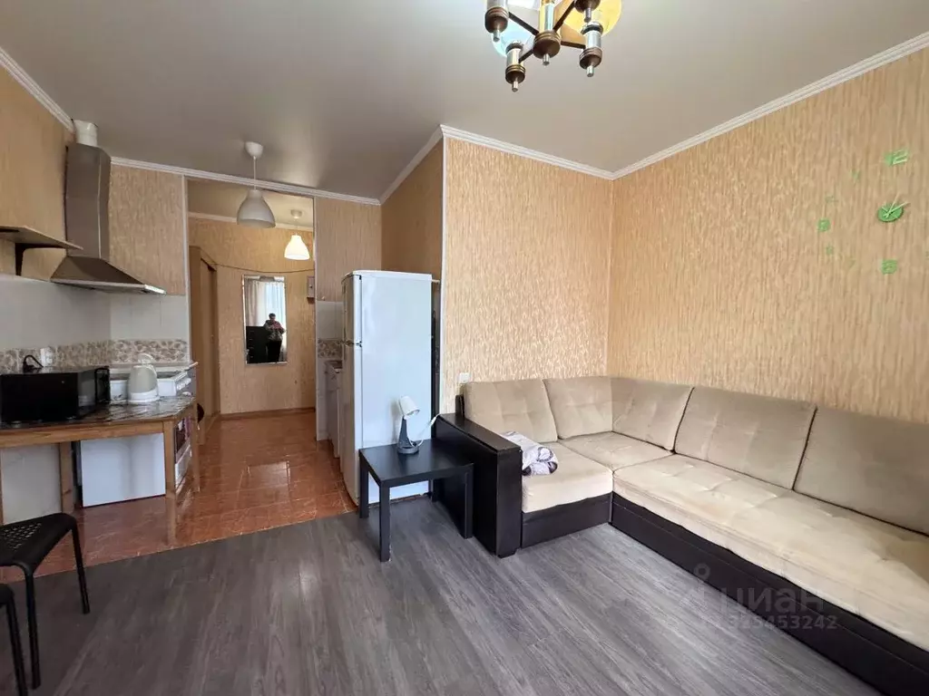 Студия Ростовская область, Ростов-на-Дону ул. Еременко, 97/29 (30.0 м) - Фото 2