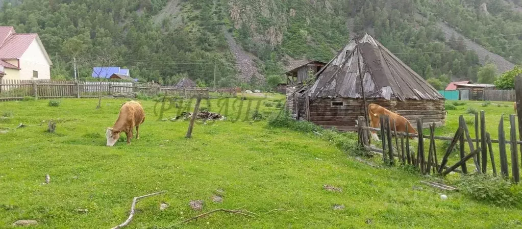 Участок в Алтай, Улаганский район, с. Балыкча Богатырская ул. (19.0 ... - Фото 1