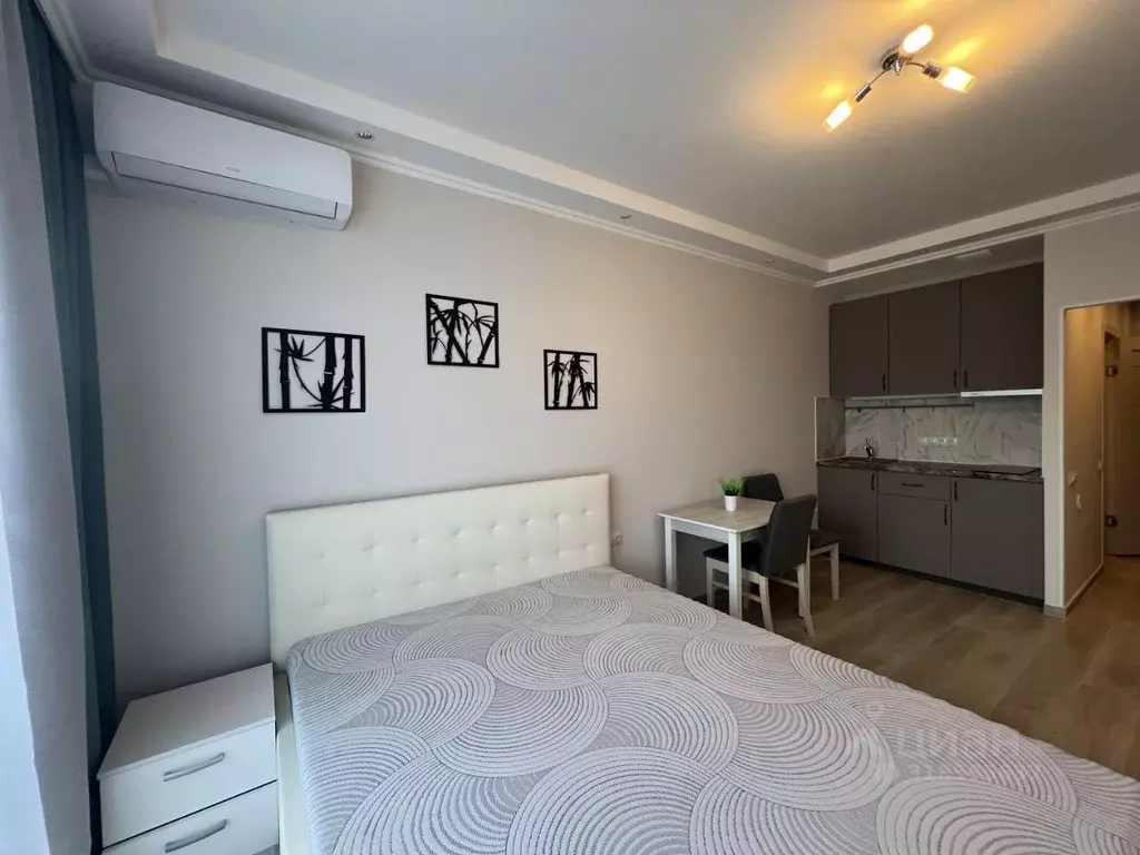 Студия Москва 1-я Магистральная ул., 25 (25.0 м) - Фото 1