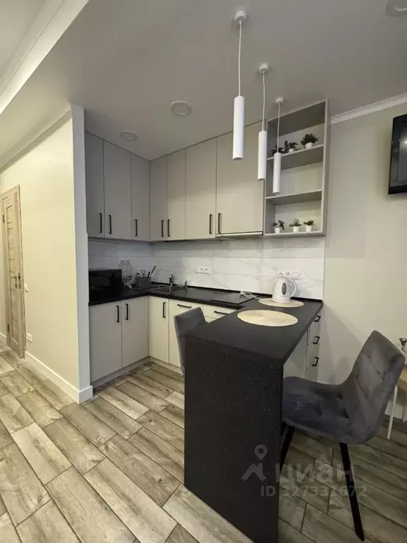 Студия Краснодарский край, Сочи ул. Яна Фабрициуса, 66/5 (23.8 м) - Фото 2