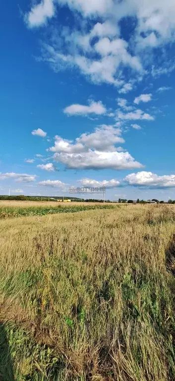 участок в нижегородская область, арзамас городской округ, с. новоселки . - Фото 0