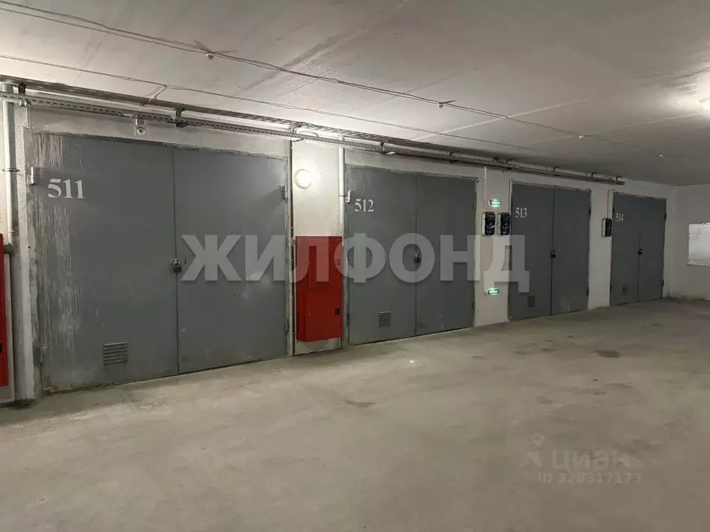 Гараж в Новосибирская область, Новосибирский район, Мичуринский ... - Фото 1