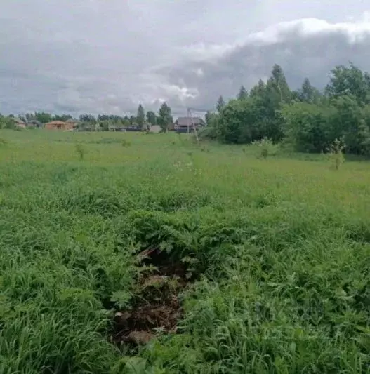Участок в Московская область, Серпухов городской округ, д. Нефедово  ... - Фото 1