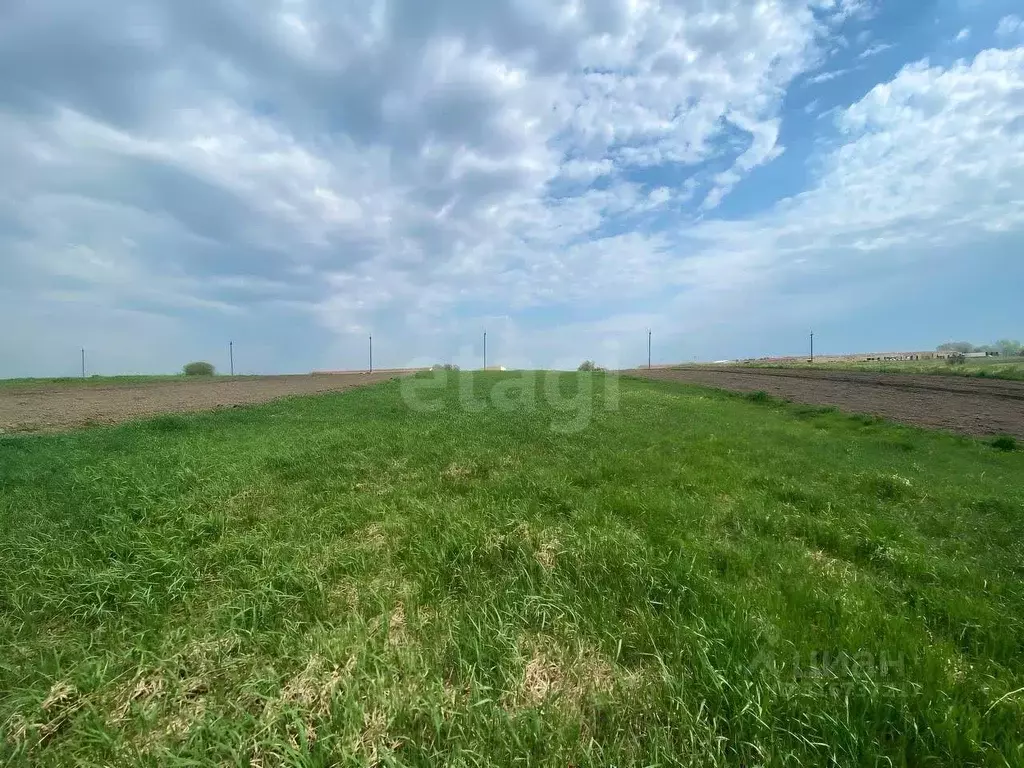Участок в Брянская область, Жирятинское с/пос, с. Страшевичи  (24.5 ... - Фото 1