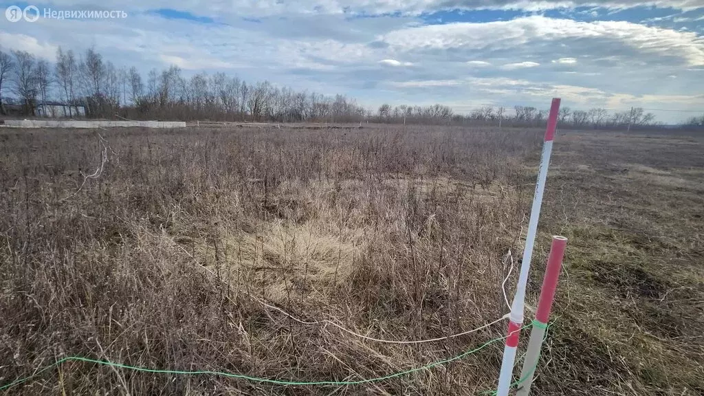 Участок в село Хохлово, Юбилейная улица (15 м) - Фото 2