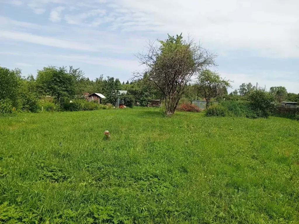 Участок в Калужская область, Калуга городской округ, пос. Новый  ... - Фото 2