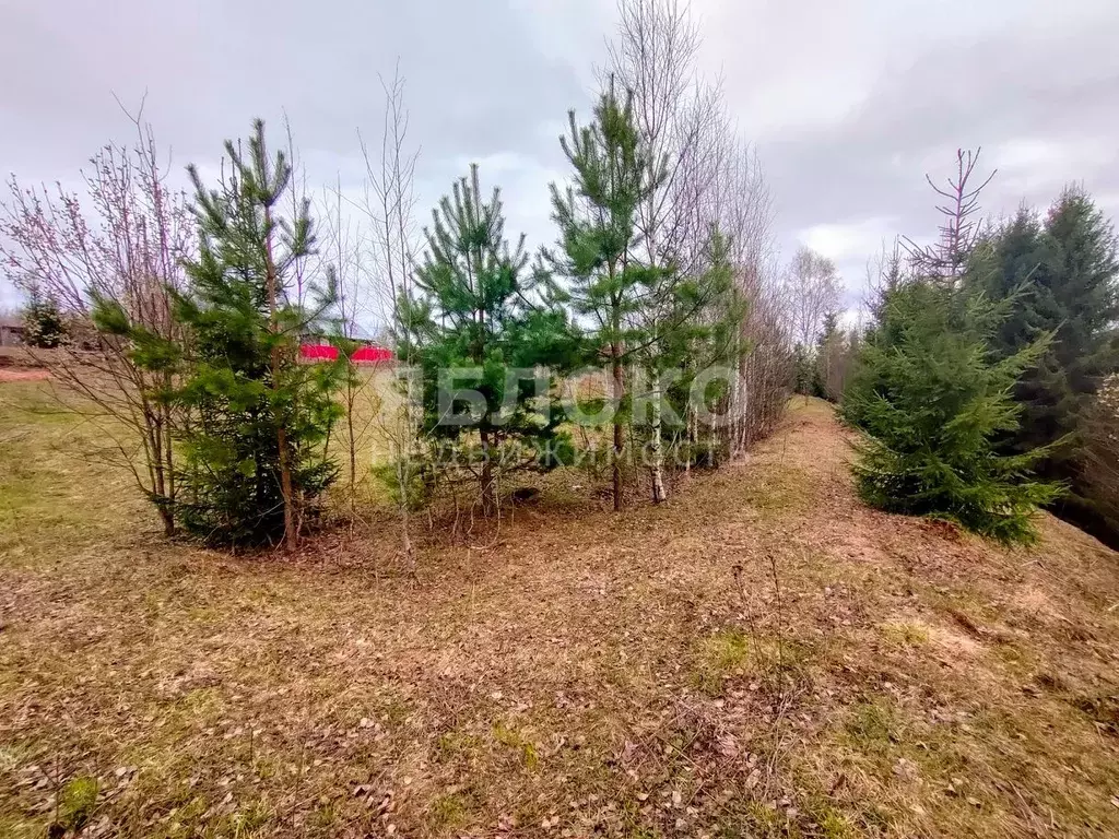 Участок в Пермский край, Березники муниципальное образование Город, д. ... - Фото 1