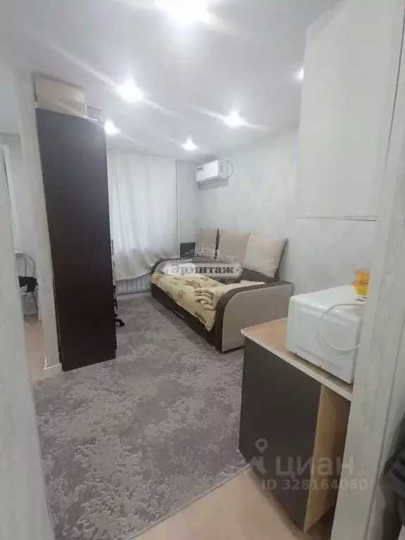 2-к кв. Курганская область, Курган Чернореченская ул., 91А (22.0 м) - Фото 2