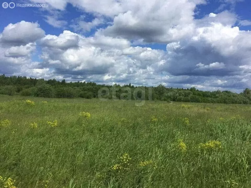 Участок в Пермский край, Краснокамский муниципальный округ, посёлок ... - Фото 1