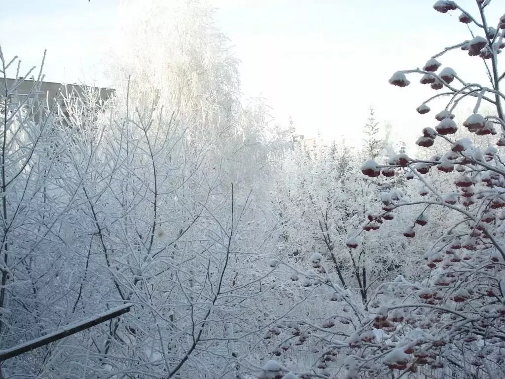2-к кв. Башкортостан, Уфа ул. Рихарда Зорге, 49/1 (45.0 м) - Фото 1