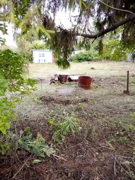 Участок в Омская область, Омск СОСН Станционник-1 тер., аллея 2-я (5.3 ... - Фото 2