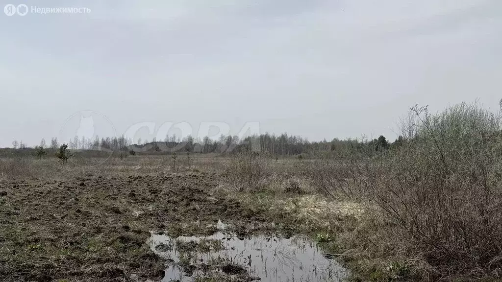 Участок в Курганская область, Кетовский муниципальный округ, деревня ... - Фото 1