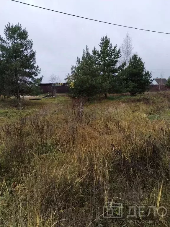 Участок в Рязанская область, Рязанский муниципальный округ, д. Полково ... - Фото 2