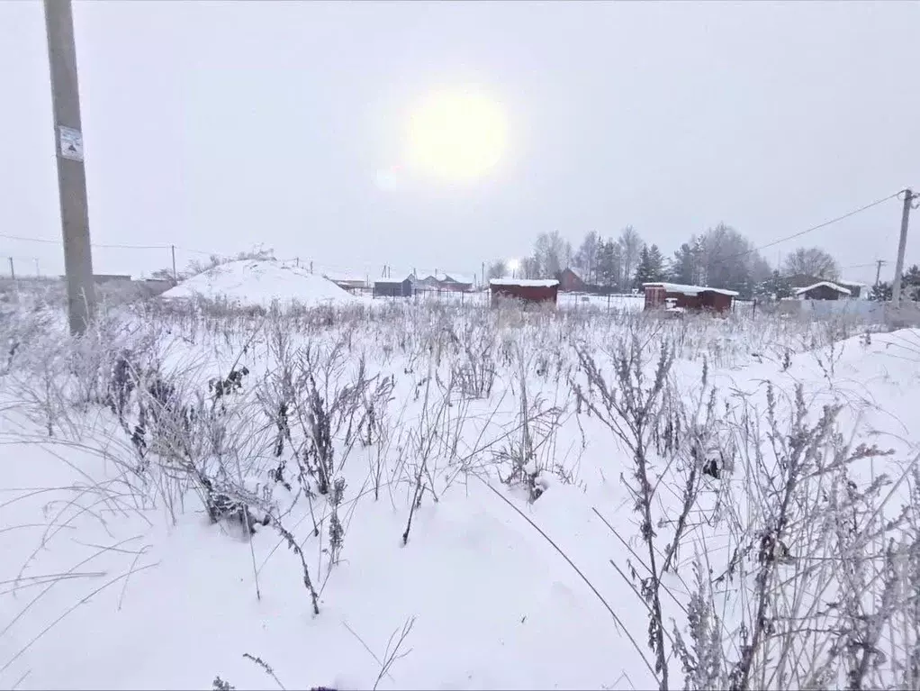 Участок в Ленинградская область, Волховский район, Староладожское ... - Фото 1