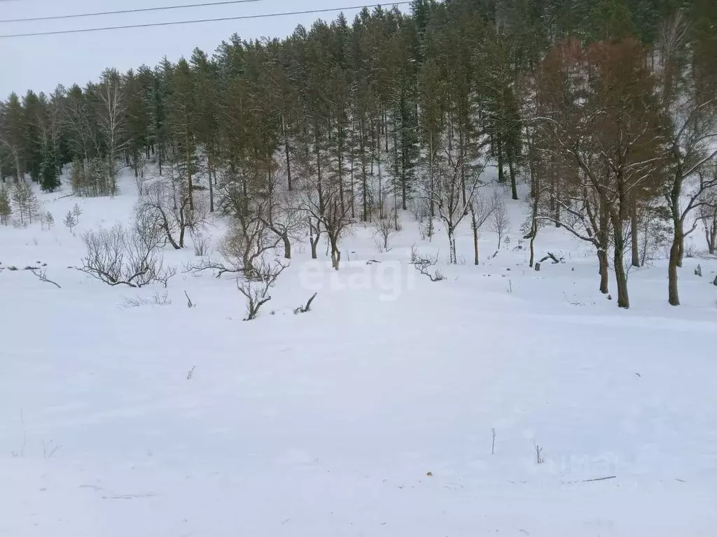 Купить Дом В Бешпельтир Чемальский Район