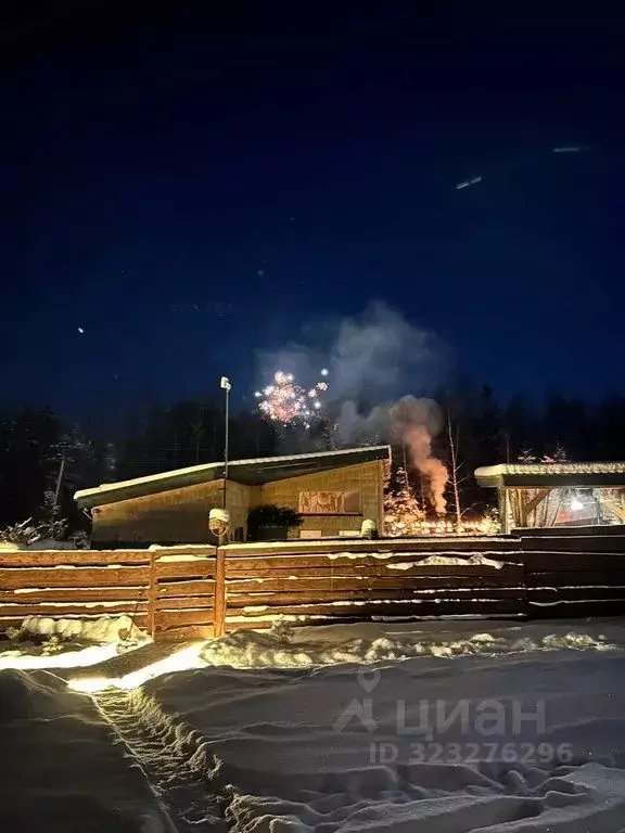 Дом в Нижегородская область, Городецкий муниципальный округ, д. ... - Фото 1