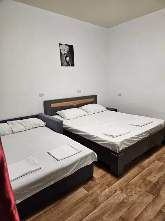Комната Краснодарский край, Геленджик Октябрьская ул., 35 - Фото 0