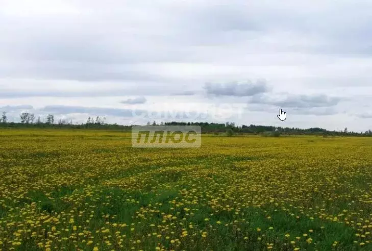 Участок в посёлок Лазурный, садовое товарищество Лазурное (10 м) - Фото 0